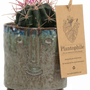 Gifts - TOP SALE - Cactus mix in a green face pot - PLANTOPHILE