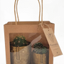 Gifts - 2 x cactus in a golden face jar AH2020 - PLANTOPHILE