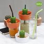 Bowls - Cactus Series : Stirrer : Snack bowl :Tissue Holder :  Kitchen Collection Organizer Decorate Home - QUALY DESIGN OFFICIAL