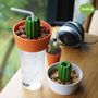 Bols - Série Cactus : Organisateur de collection de papeterie Décorer la maison - QUALY DESIGN OFFICIAL