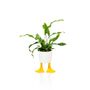 Gifts - Bitten Duck Feet Planter - BITTEN