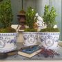 Decorative objects - POT A ORCHIDEE - MANUFACTURE NORMAND