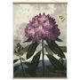 Poster - Poster Temple of Flora, Blue Egyptian. - THE DYBDAHL CO.