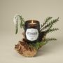 Candles - Essential oils candle CONCENTRATION - LA BELLE MÈCHE