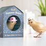 Gifts - Garden Birds - DCUK