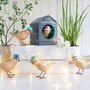 Gifts - Garden Birds - DCUK