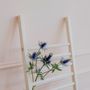 Shelves - Step Up Shoe Rack - EMKO