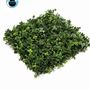 Decorative objects - UV Collection Green Wall  - EMERALD ETERNAL GREEN BV
