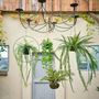 Floral decoration - Artificial Hanging Plants - EMERALD ETERNAL GREEN BV