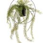 Floral decoration - Artificial Hanging Plants - EMERALD ETERNAL GREEN BV