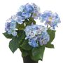 Décorations florales - Plantes à fleurs artificielles - EMERALD ETERNAL GREEN BV