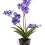 Floral decoration - Artificial Flowering Plants  - EMERALD ETERNAL GREEN BV