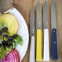 Knives - Bon Appétit Steak knife Wood - OPINEL