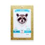 Other wall decoration - Paper Decoration - Raccoon Trophy - AGENT PAPER