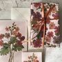 Stationery - Decorative paper "Primula Sinensis" - TASSOTTI - ITALY