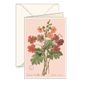 Carterie - Cartes de vœux avec enveloppe "Primula Sinensis" - TASSOTTI - ITALY
