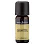 Scent diffusers - Eucalyptus essential oil 10mL. - SERENE HOUSE