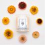 Gifts - Garden in winter - Candles Made in France - Vegetable wax - ABEILLUS FRAGRANCE