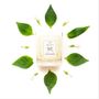 Gifts - Vegetable Wax Candle - ABEILLUS FRAGRANCE