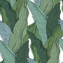 Autres décorations murales - Papier peint Leaf Vert Fond Blanc - PAPERMINT