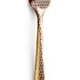 Flatware - Lizzard Gold Cutlery - ROBERTO CAVALLI HOME TABLEWARE