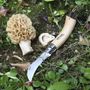 Decorative objects - Mushroom knife N°08  - OPINEL
