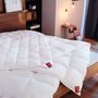 Comforters and pillows - CARAT Box-Stitch Duvet (Goose Down) - BRINKHAUS