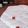 Comforters and pillows - CLASSICA Goose Down Duvet - BRINKHAUS