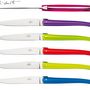 Gifts - Jean-Michel Wilmotte coulour acrylic table knives, set of 6 - FORGE DE LAGUIOLE