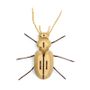 Decorative objects - Wooden Decoration - Insects  - AGENT PAPER
