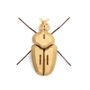 Decorative objects - Wooden Decoration - Insects  - AGENT PAPER