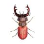 Decorative objects - Decorative Objects - Cardboard Insects  - AGENT PAPER