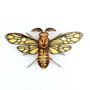Decorative objects - Decorative Objects - Cardboard Insects  - AGENT PAPER