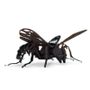 Decorative objects - Decorative Objects - Black Cardboard Insects - AGENT PAPER