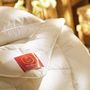 Comforters and pillows - TIBET - The Cashmere-Filled Duvet - BRINKHAUS