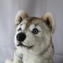 Gifts - Wolf Puppy - KATERINA MAKOGON