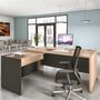 Office furniture and storage - Executive Office BRABANT - GAUTIER OFFICE