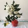 Floral decoration - “Frutta e Fiori” Vase  - AMARETTI ANTONELLA