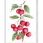 Kitchens furniture - Botanical Art Prints - VERY WONDER