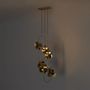 Hanging lights - Hera Suspension Lamp - CREATIVEMARY