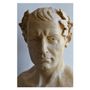 Sculptures, statuettes and miniatures - Bust of Napoleon Bonaparte - TODINI SCULTURE