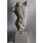 Sculptures, statuettes and miniatures - Male torso “Faun of Pompeii” - TODINI SCULTURE