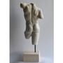 Sculptures, statuettes et miniatures - Torse masculin  - TODINI SCULTURE