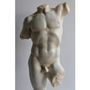 Sculptures, statuettes and miniatures - Male torso  - TODINI SCULTURE