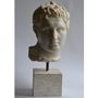 Sculptures, statuettes and miniatures - Classic head “Lysippea” - TODINI SCULTURE