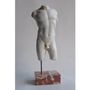 Sculptures, statuettes and miniatures - Small Male Torso n. 4 - TODINI SCULTURE