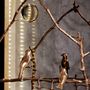 Sculptures, statuettes and miniatures - Sculpture “Golden stilts” unique piece in bronze  - ARTOO ATELIER
