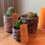 Objets de décoration - Cactus or greenplant dans un panier de tissus recyclés - PLANTOPHILE