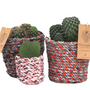 Decorative objects - Cactus or greenplant in a basket of recycled fabrics - PLANTOPHILE