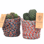 Objets de décoration - Cactus or greenplant dans un panier de tissus recyclés - PLANTOPHILE